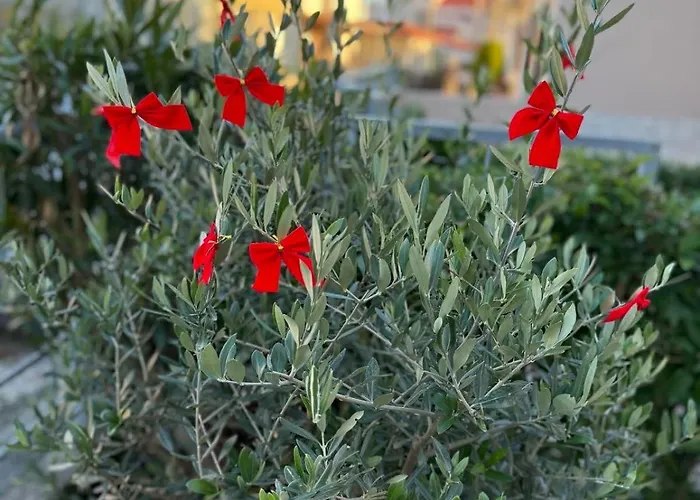 Between Meteora Bmt House * Tríkala